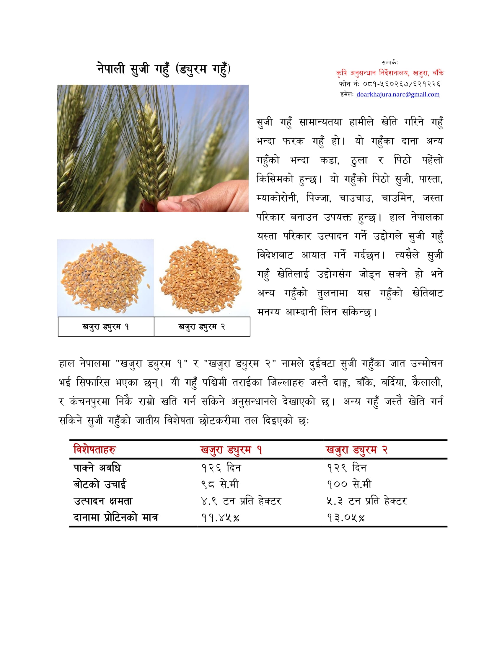 नेपाली सुजी गहुँ (ड्युरम गहुँ) (बाली प्रजनन् तथा आनुवांशिक)